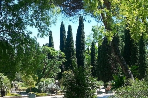 Jardins des Plantes